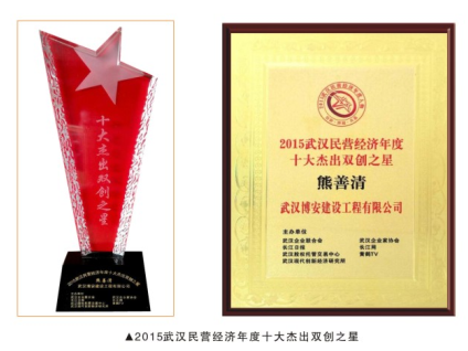 2015武汉民营经济年度十大杰出双创之星